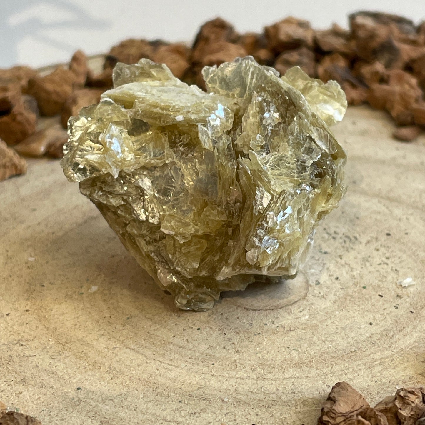 Mica / Muscoviet nr.3
