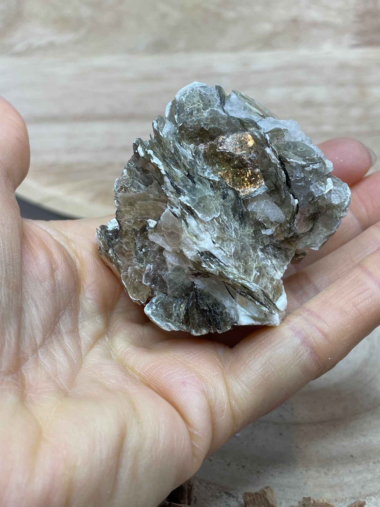 Muscoviet cluster nr.2