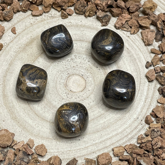 Stromatoliet trommelsteen