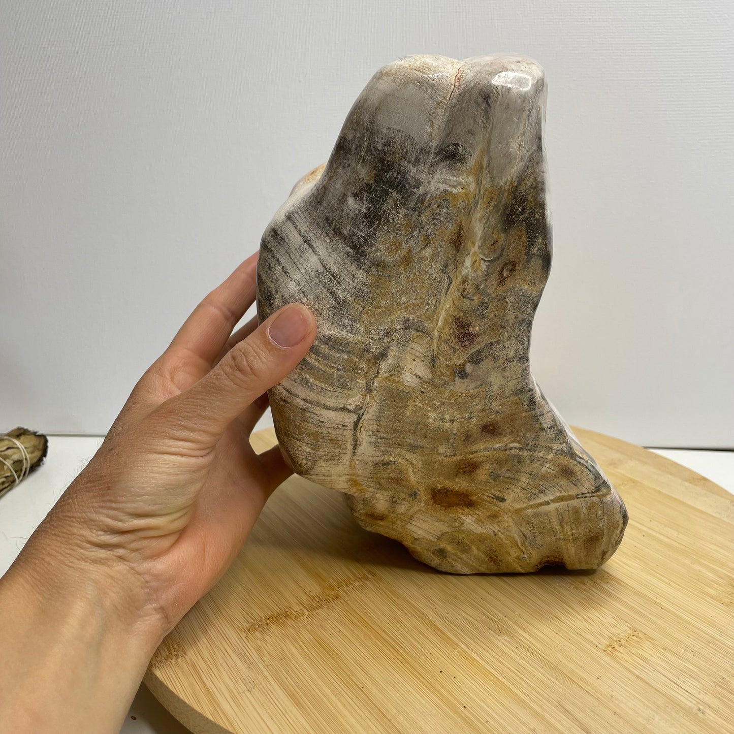 Versteend hout sculptuur nr.2