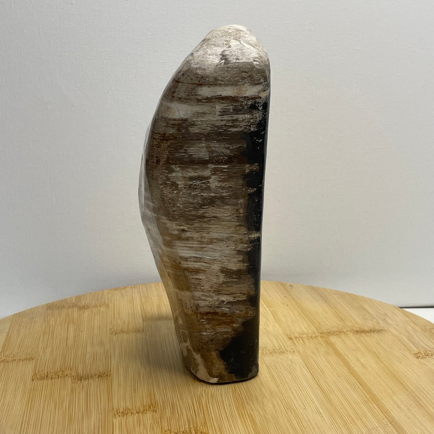 Versteend hout sculptuur nr.3