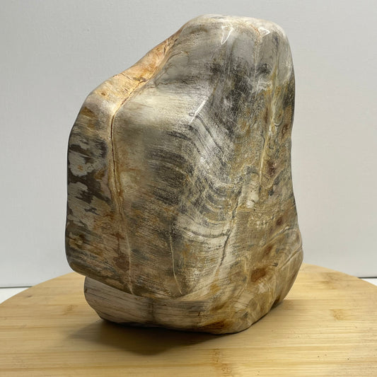 Versteend hout sculptuur nr.2