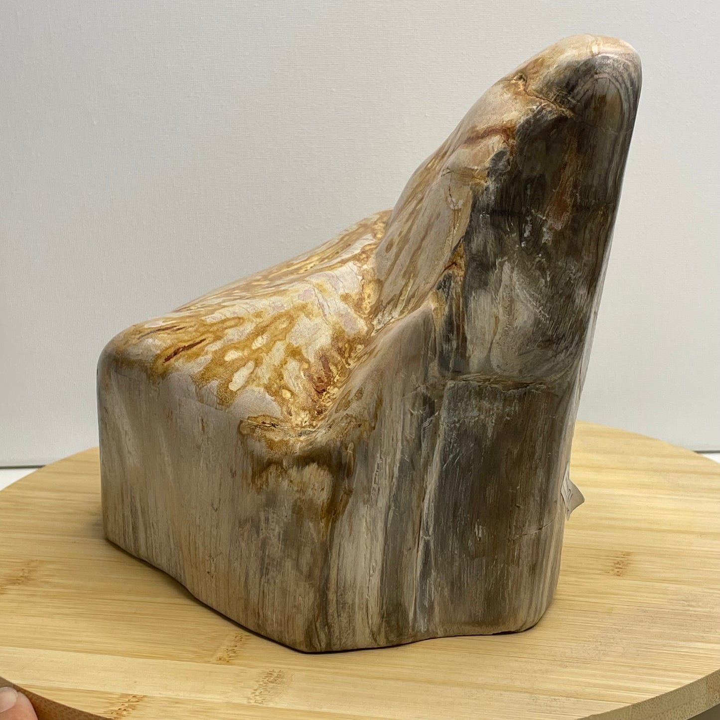 Versteend hout sculptuur nr.1