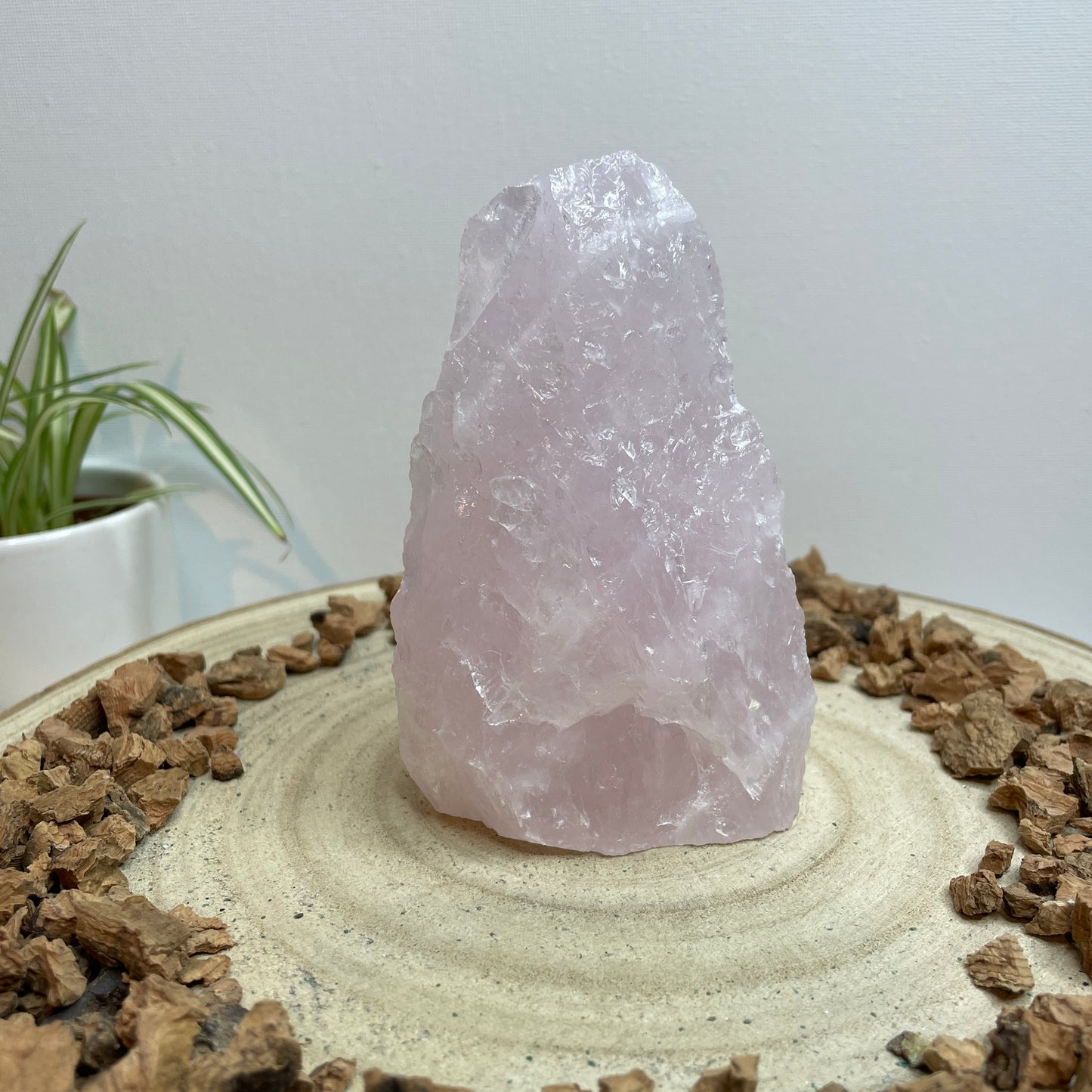 Rozenkwarts cut base nr.1