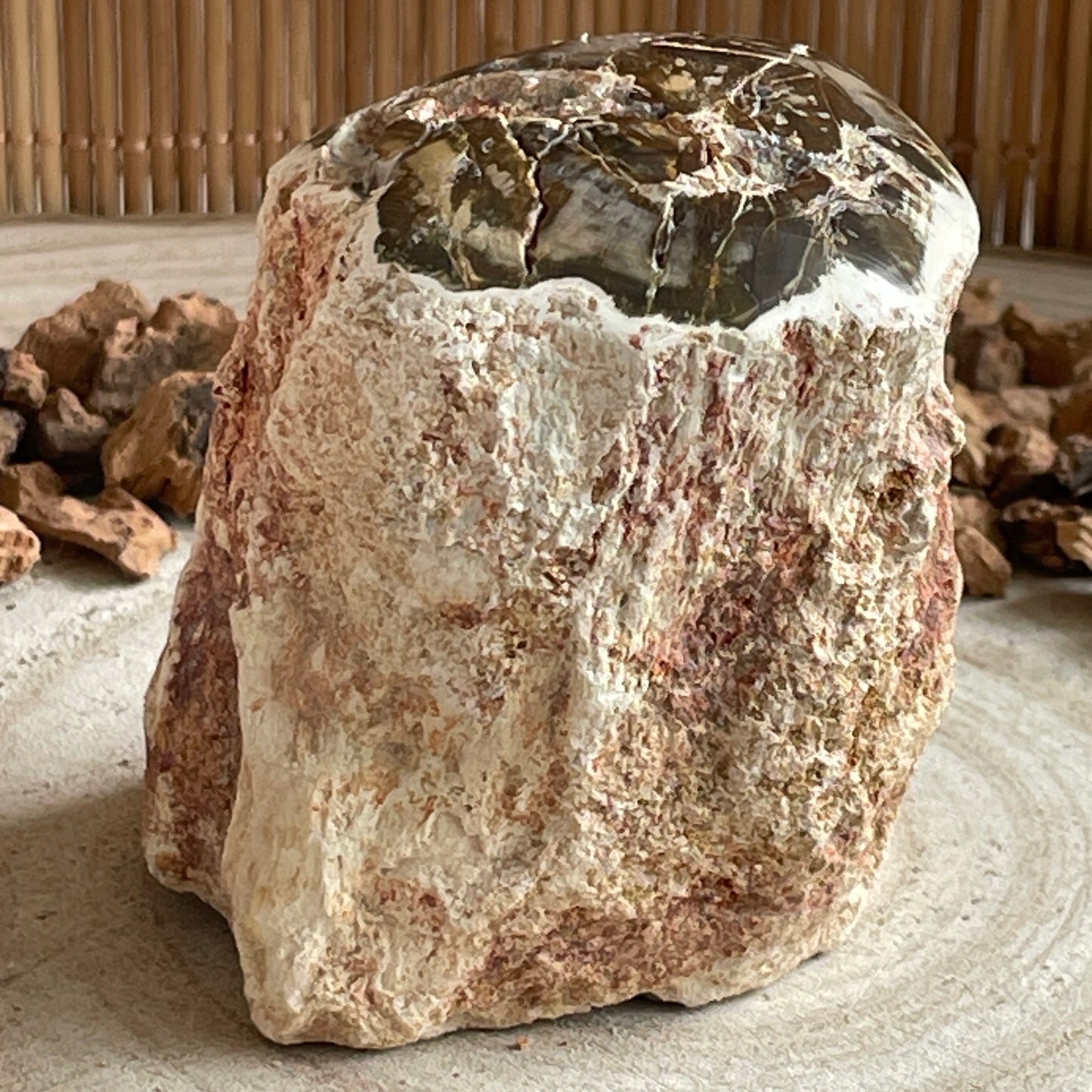 Versteend Hout nr. 3