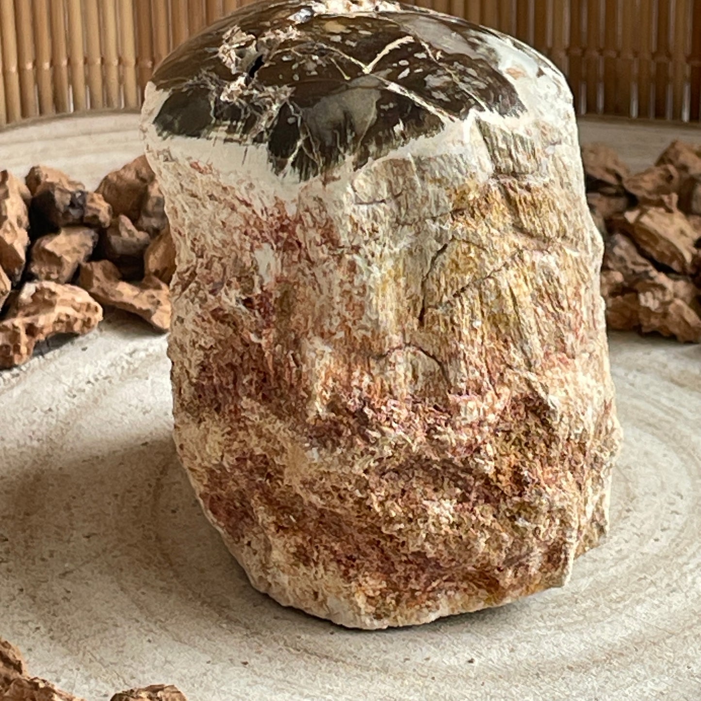 Versteend Hout nr. 3