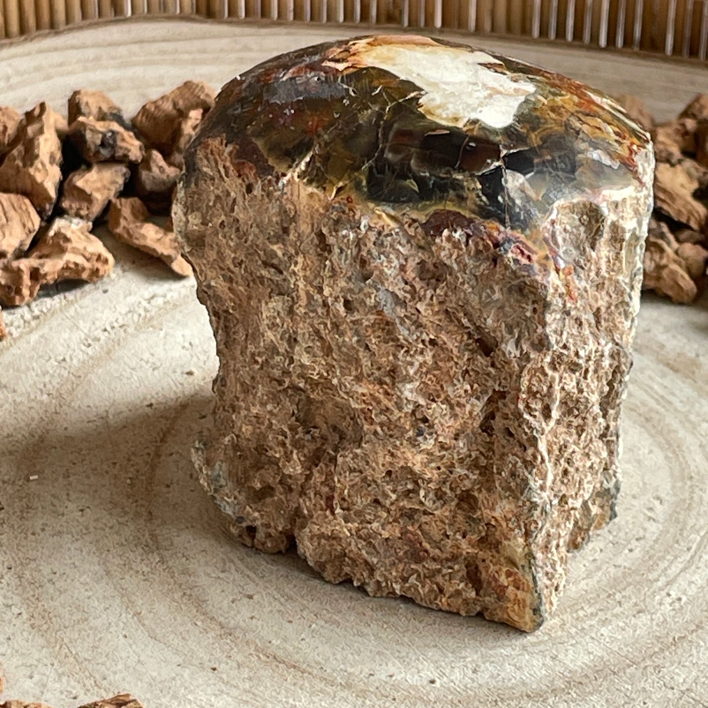 Versteend Hout nr. 4