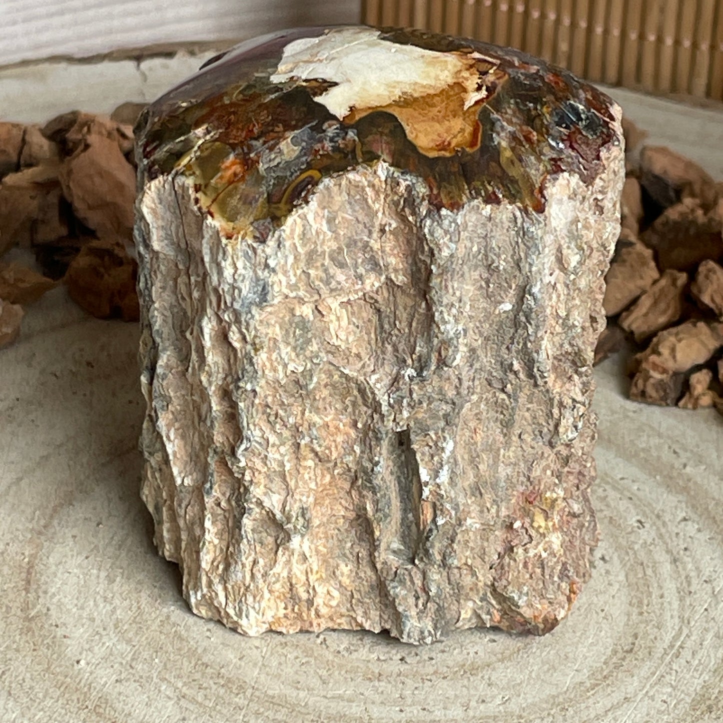 Versteend Hout nr. 4