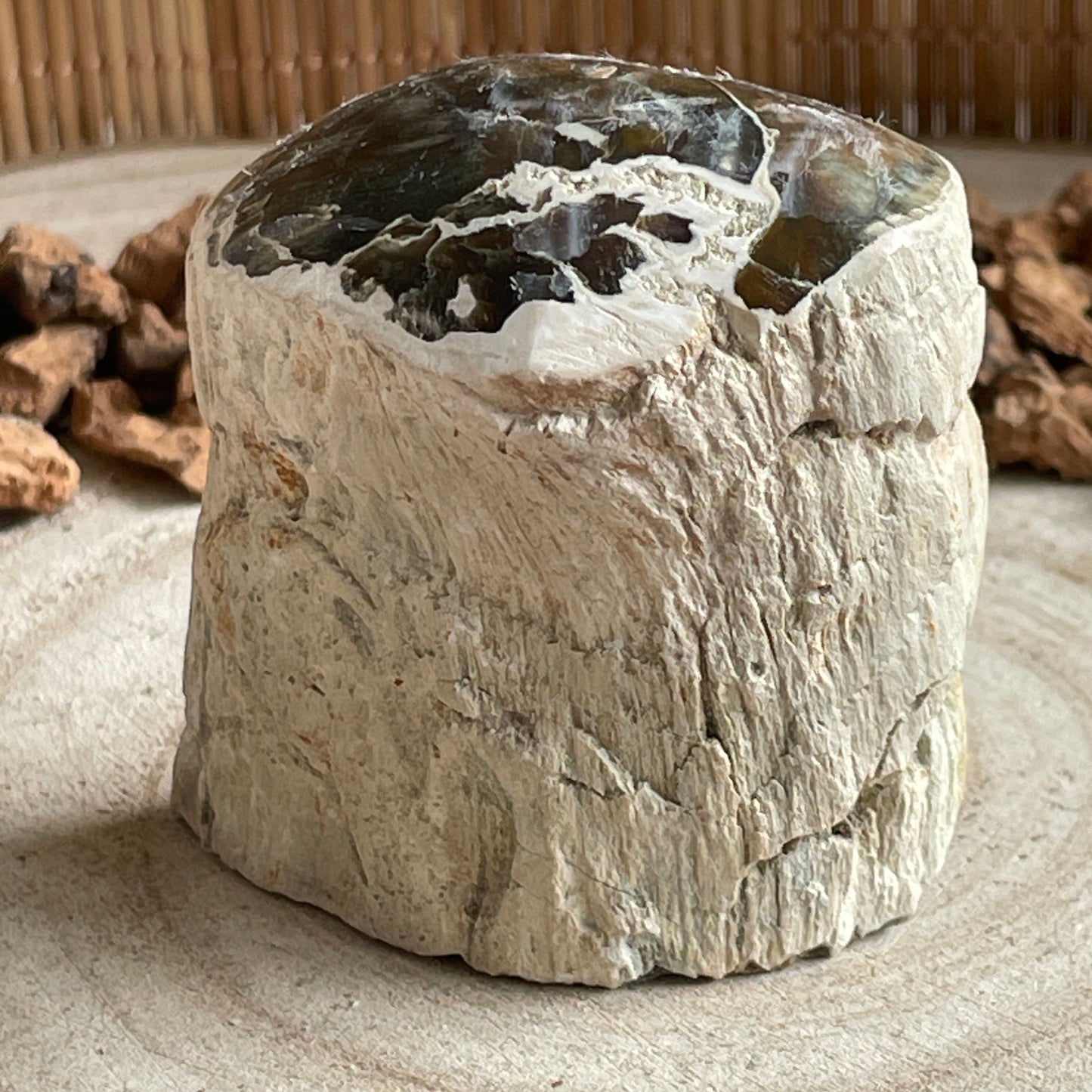 Versteend Hout nr. 1