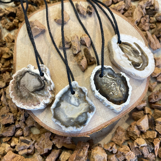 Versteend hout schijfje hanger