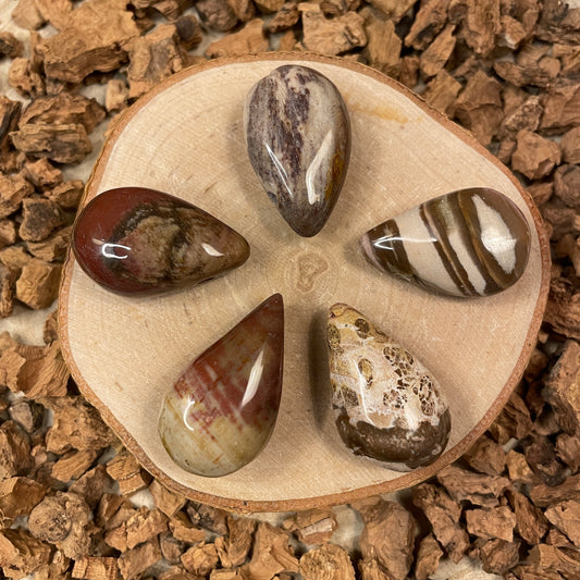 Versteend hout hanger