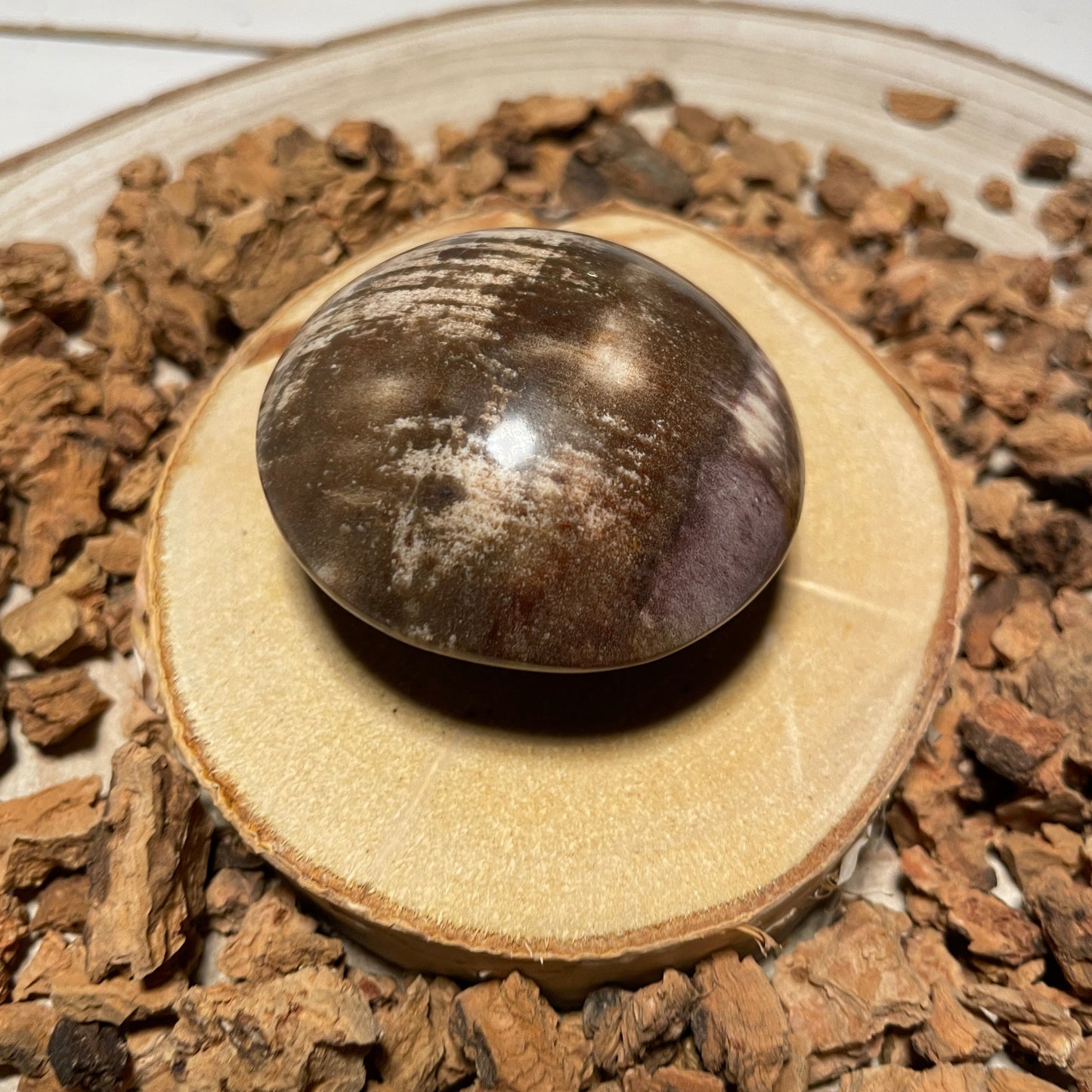 Versteend hout lens handsteen - Een Handjevol Geluk