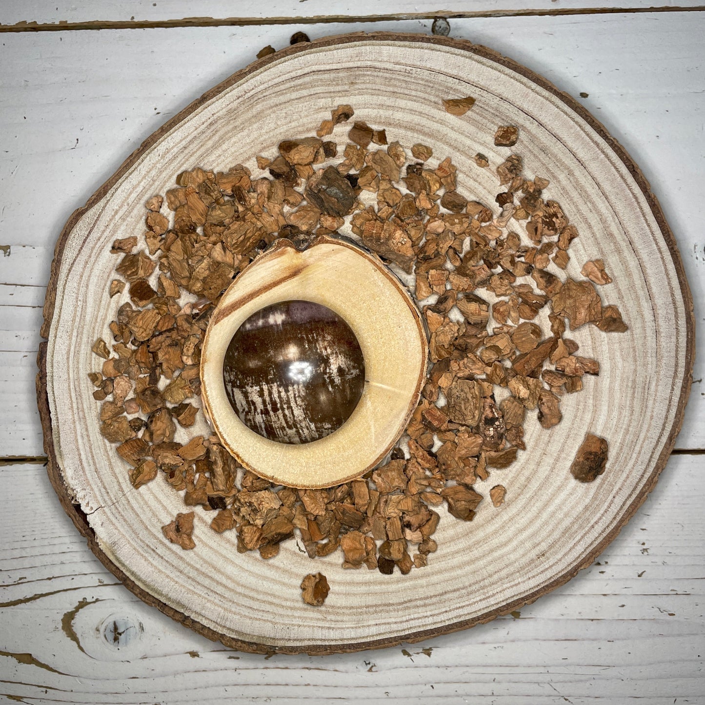 Versteend hout lens handsteen - Een Handjevol Geluk